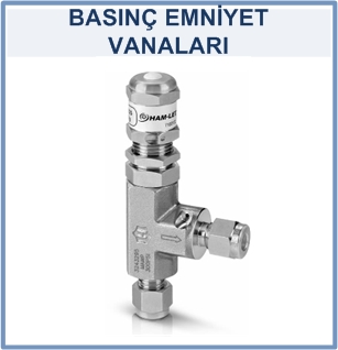 Basınç Emniyet Vanası